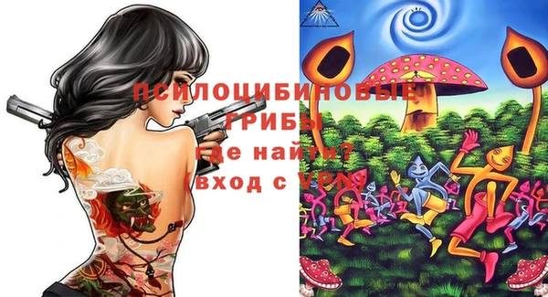 стафф Алексин