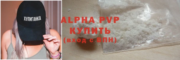 стафф Алексин